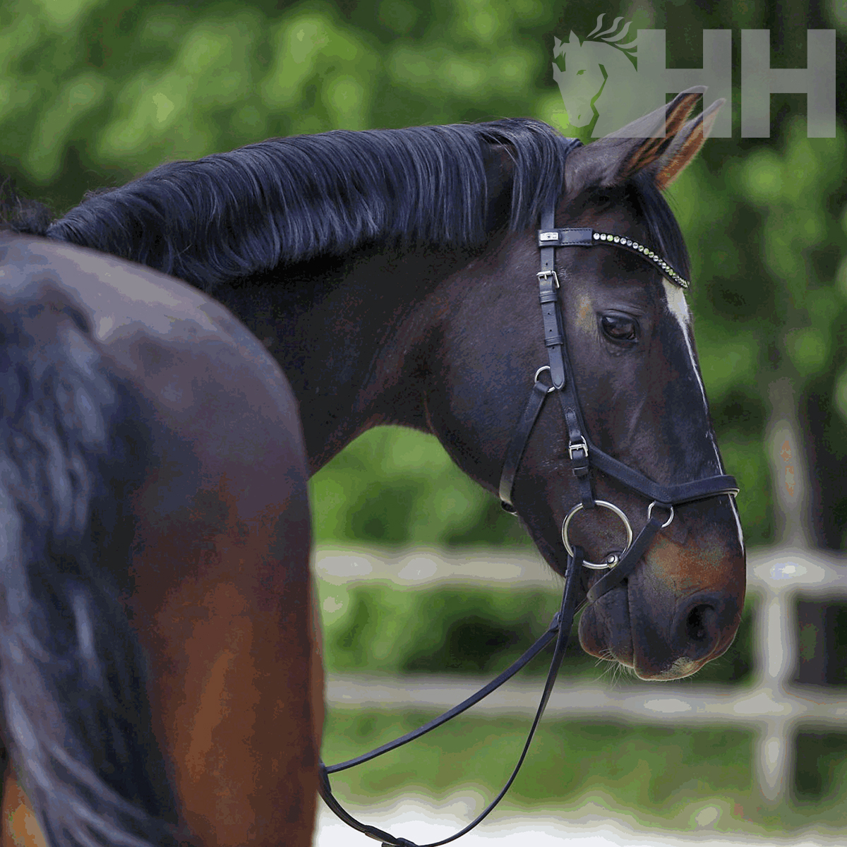 BRIDÃO SPRENGER KK CORRECTION ARGOLA 70mm