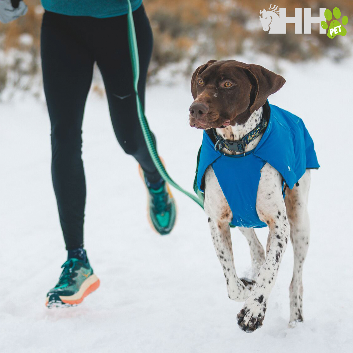 FATO RUFFWEAR PARA CÃES VERT