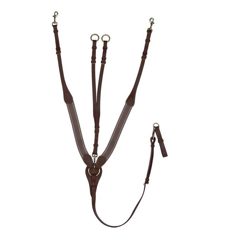 Peitoral DASLO COM FORMA  FIVELAS INOX