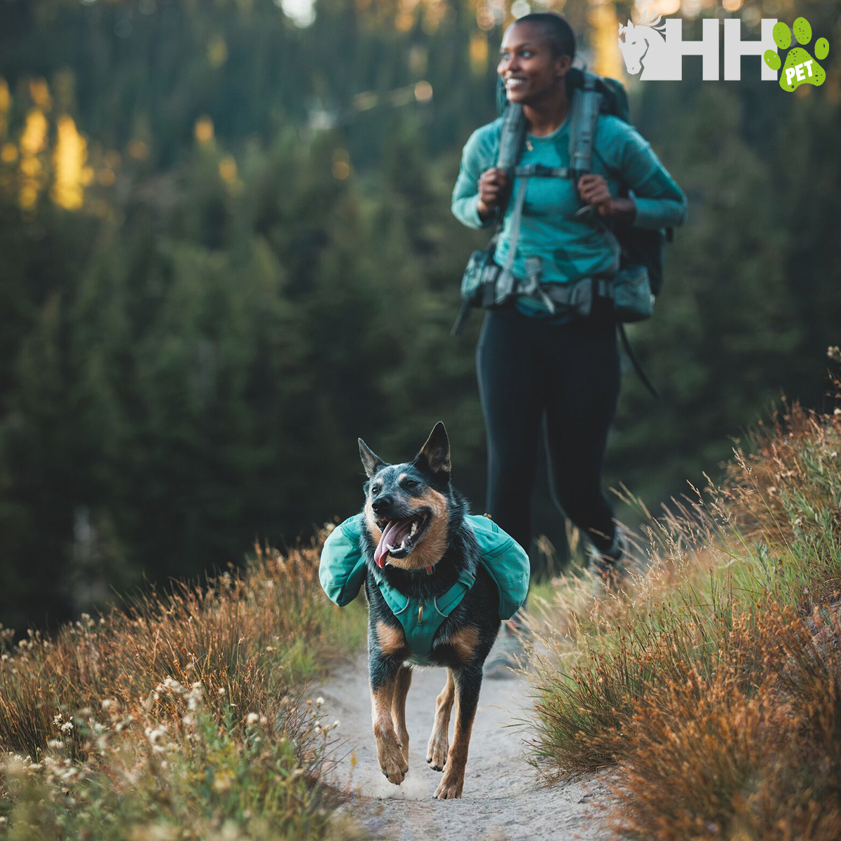 MOCHILA RUFFWEAR PARA CÃES FRONT RANGE