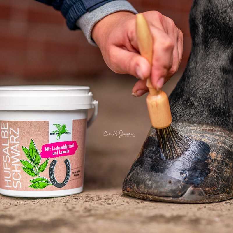 Pincel para aplicar pomada B&E PinselPiet