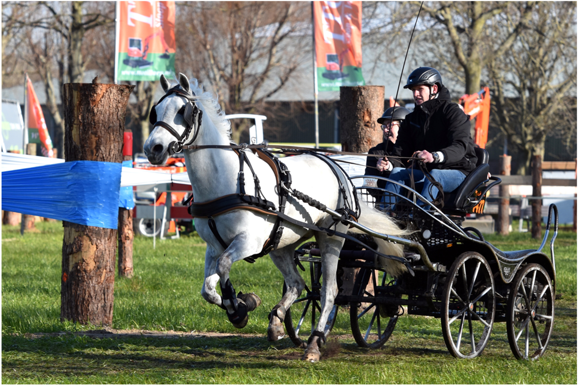 Arreios de Atrelagem EuroTech Classic  IDEAL