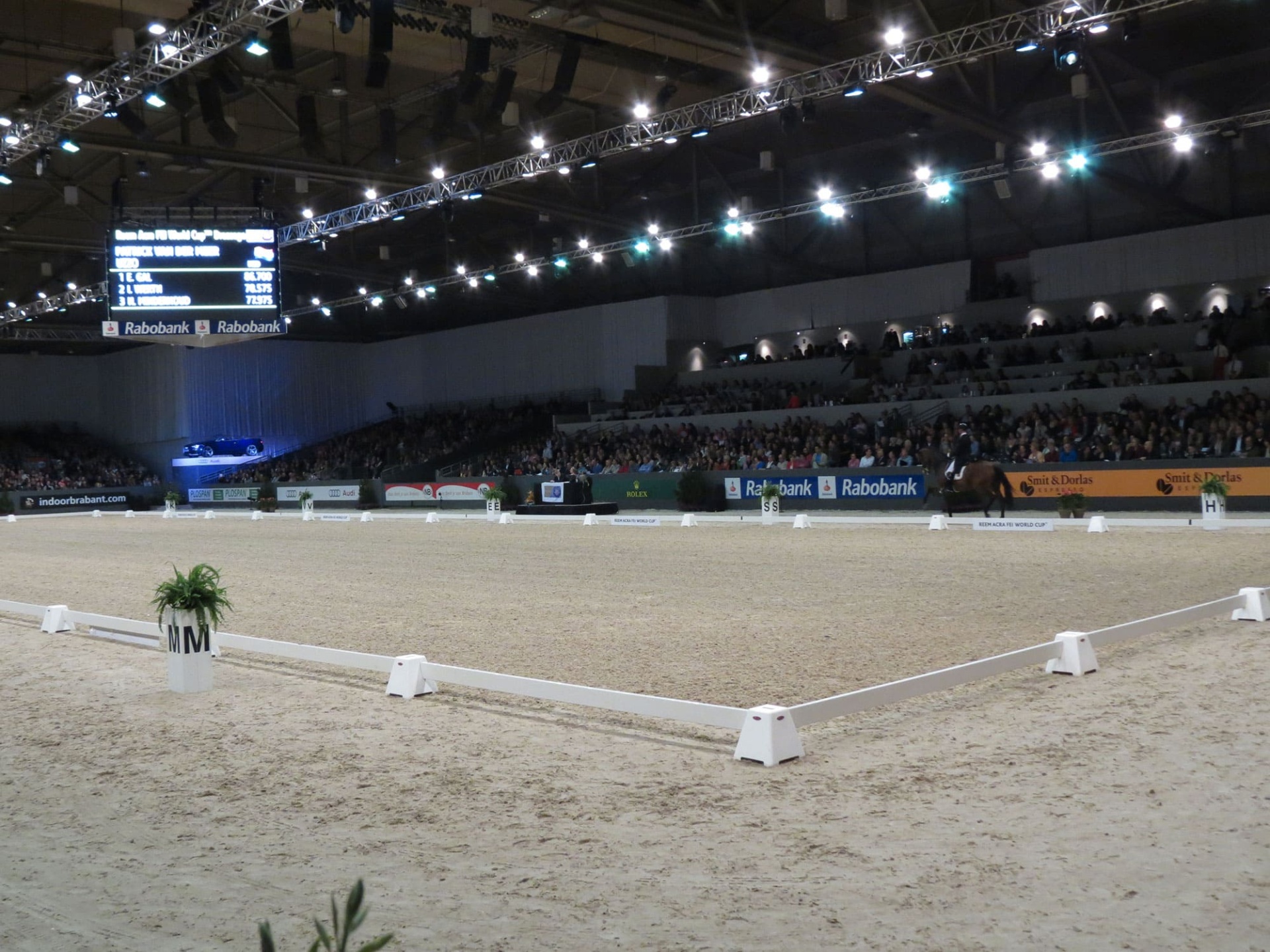 CARRIÈRE PISTA DRESSAGE 20X40M  S/LETRAS