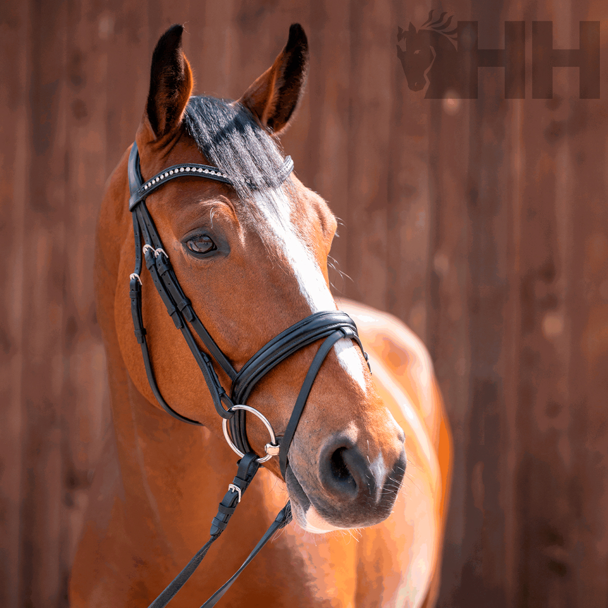 BRIDÃO SPRENGER NOVOCONTACT ARGOLA 70mm TRIPARTIDO