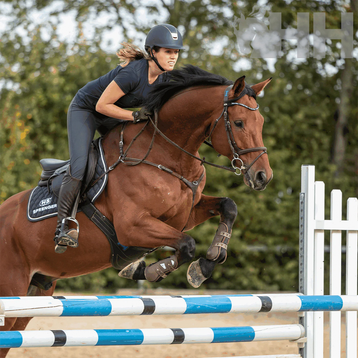 BRIDÃO SPRENGER KK ULTRA UNIVERSAL ARGOLAS 70mm