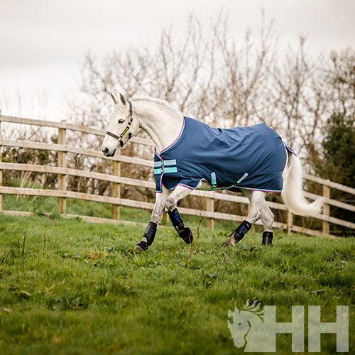 COBREJÃO AMIGO HERO 900 PÓNEI EXTERIOR MEDIUM (200g)