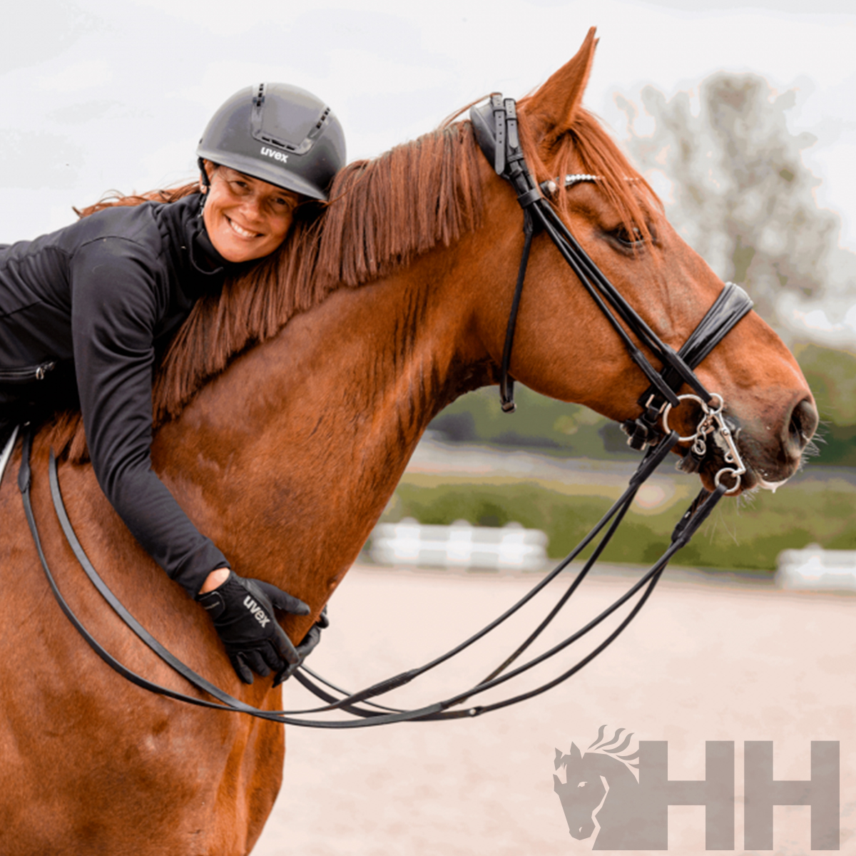 BRIDÃO SPRENGER DYNAMIC RS PARA FREIO ARGOLA 55mm BIPARTIDO