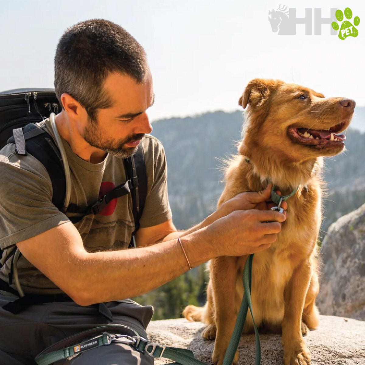 COLEIRA MARTINGALA COM FIVELA RUFFWEAR PARA CÃES WEB REACTION