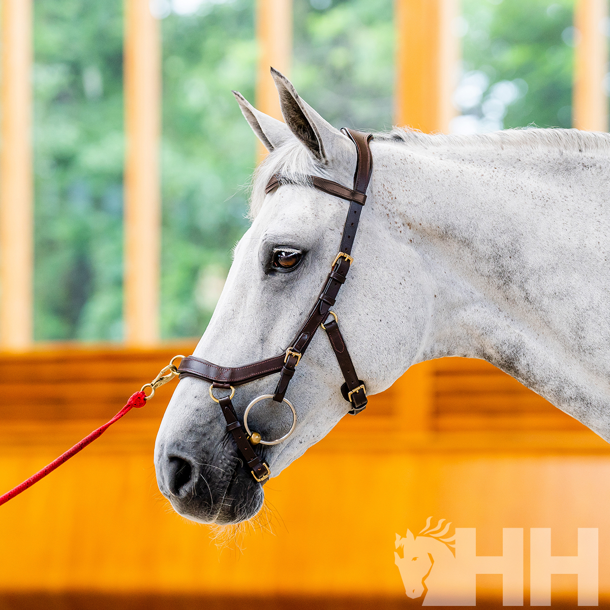 CABEÇADA INGLESA HORSEWARE MICKLEM 2 MULTIBRIDLE (SEM RÉDEAS)