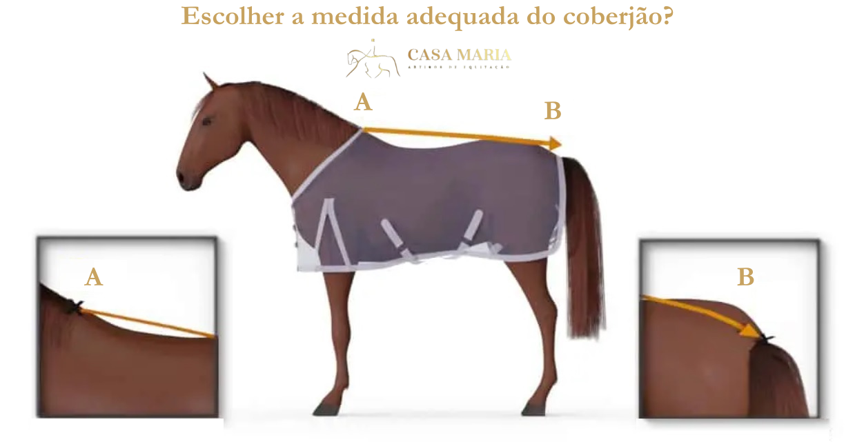 Qual a medida adequada do coberjão para o meu cavalo?