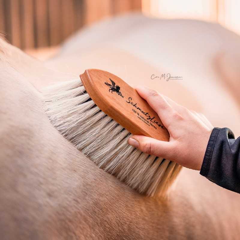 Escova de fibra 100% natural B&E SchmutzLiese