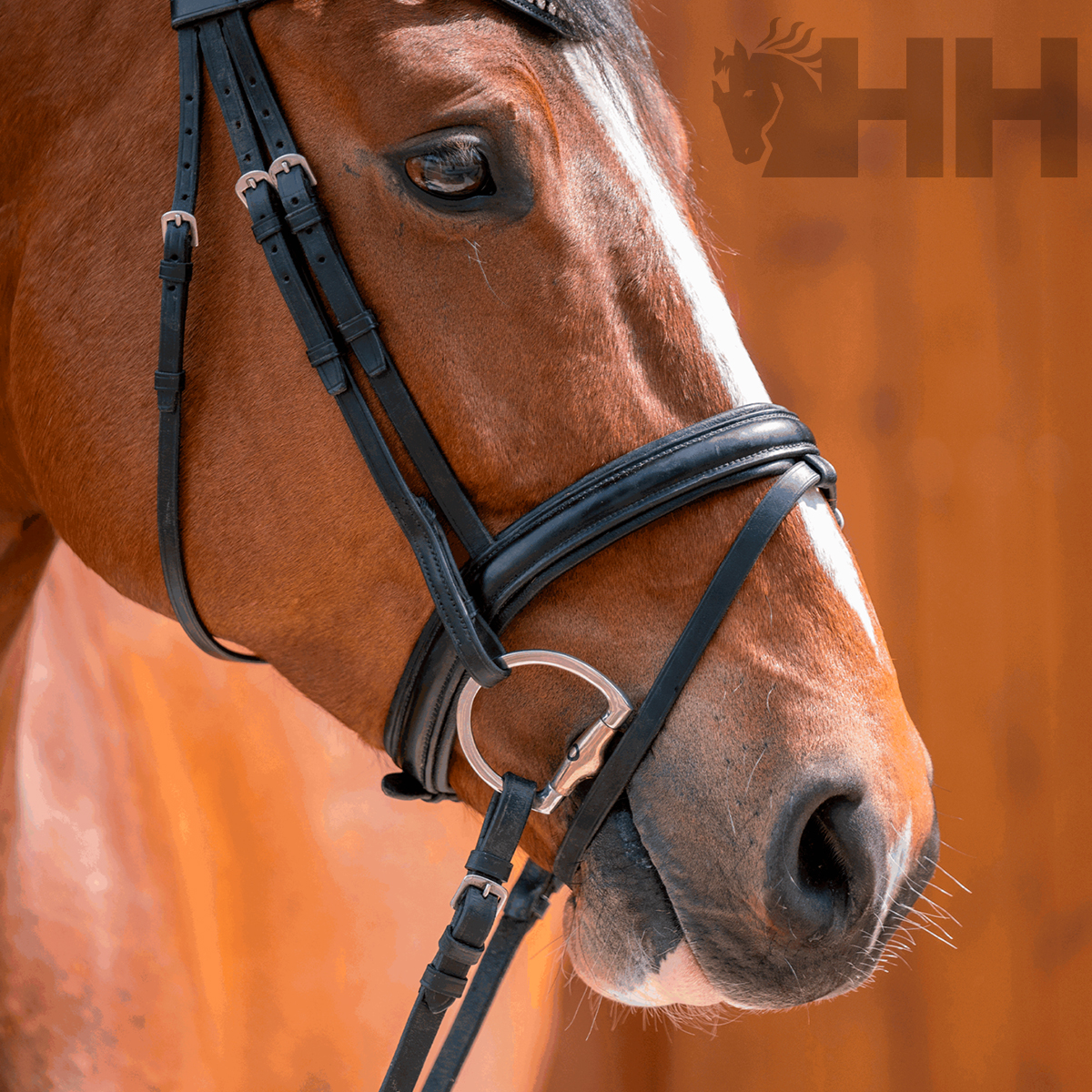 BRIDÃO SPRENGER DYNAMIC RS OLIVA ARGOLA D 65mm TRIPARTIDO