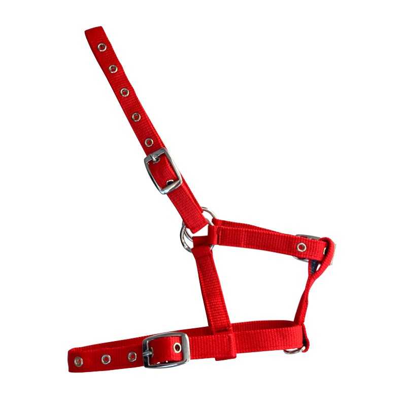 CABEÇÃO DE NYLON para poldro