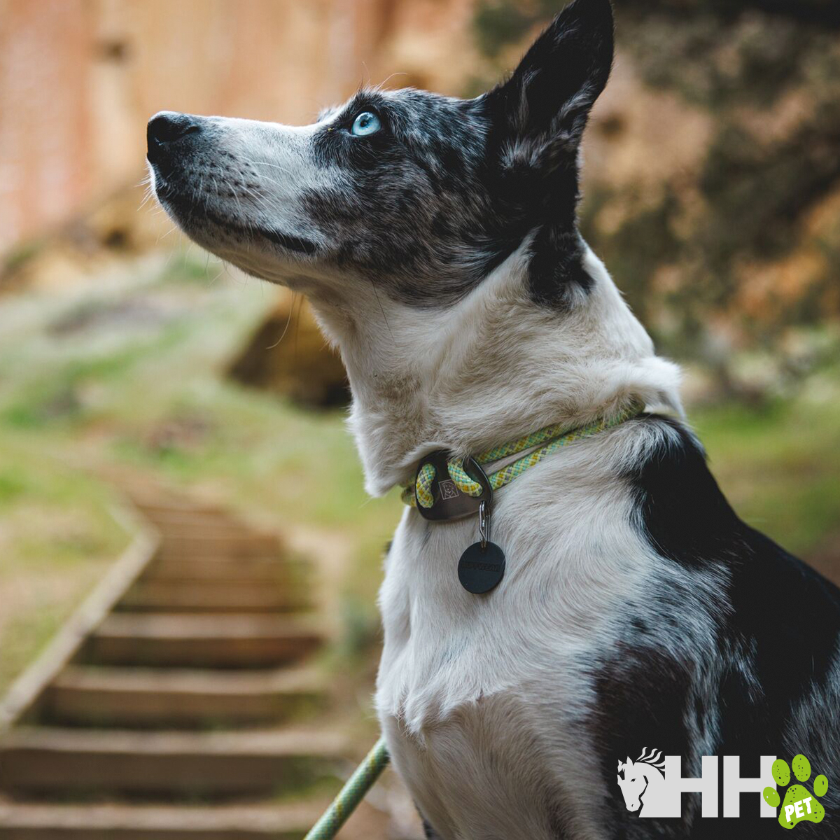 COLEIRA DE CORDA RUFFWEAR PARA CÃES KNOT-A-COLEIRA