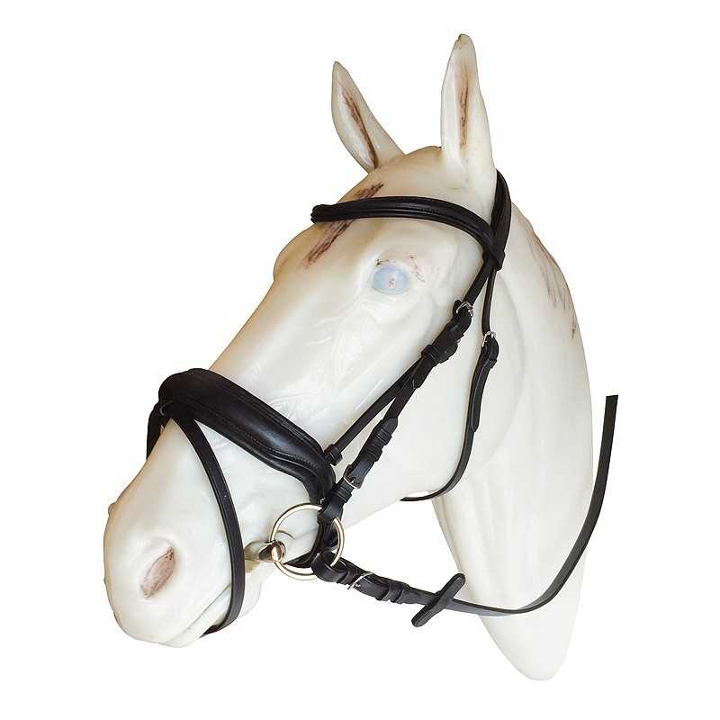 Cabeçada para bridão ovalada modelo OMEGA