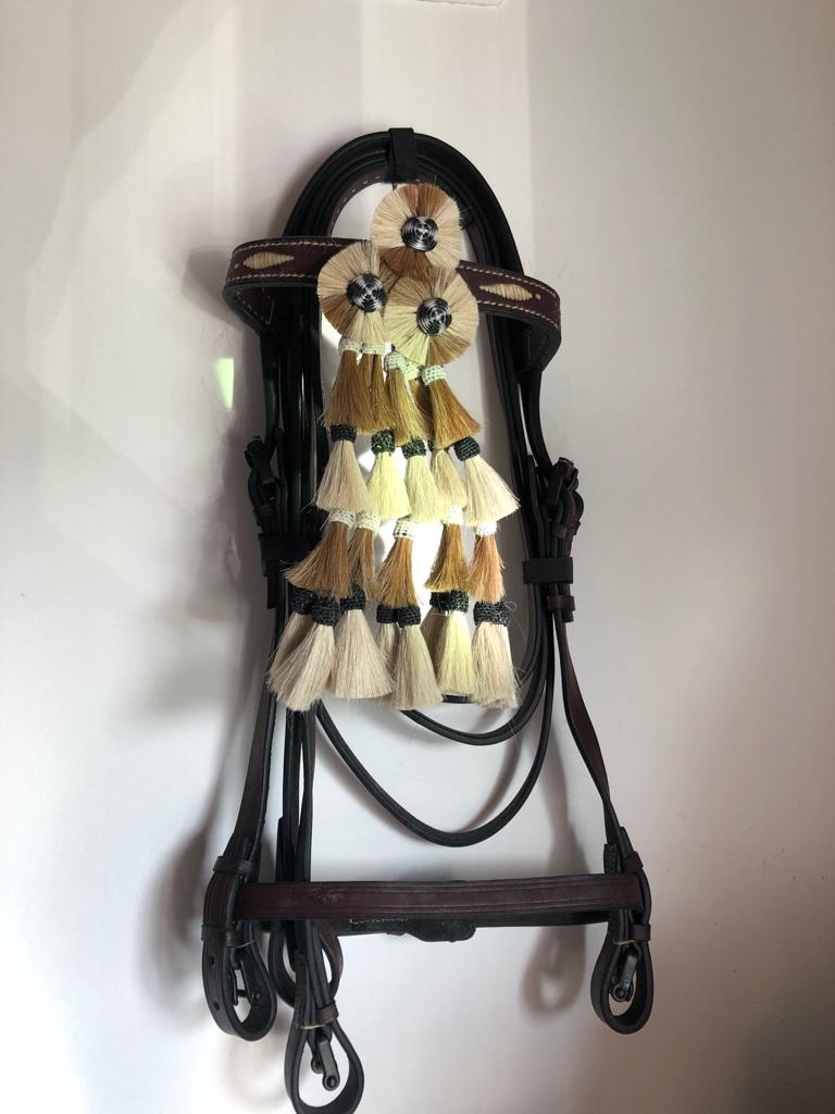 Cabeçada Espanhola com cisgola