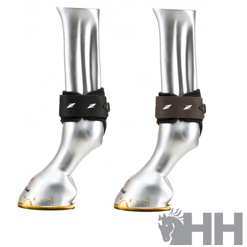 PROTETOR ZANDONÀ CARBON AIR PÓNEI BOLETO (PAR)