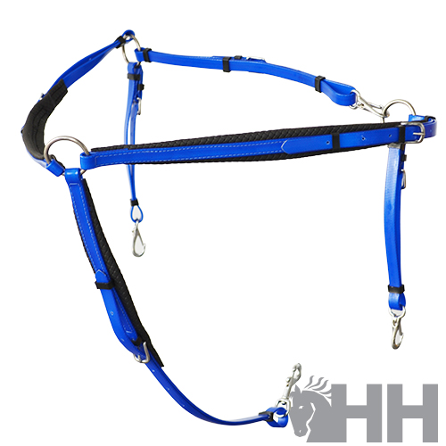 PEITORAL RAID LEXHIS BIOTHANE