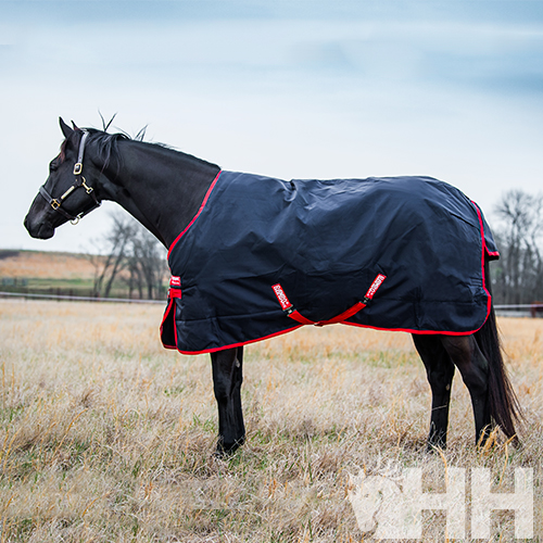 COBREJÃO RAMBO ORIGINAL EXTERIOR MEDIUM (200g)