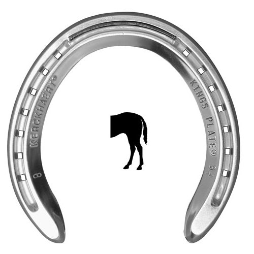 Ferradura metálica prateada com texto gravado e silhueta de cavalo