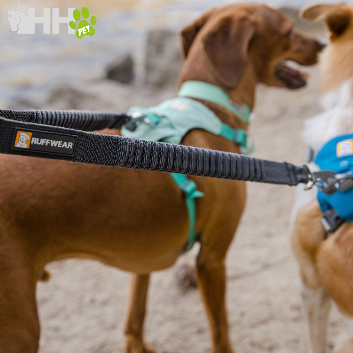 TRELA DUPLA RUFFWEAR PARA CÃES DOUBLE TRACK COUPER