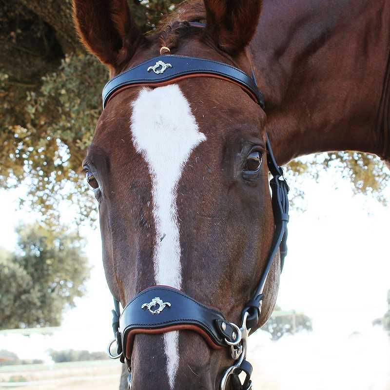 Cabeçada Hackamore sem rédeas Marjoman