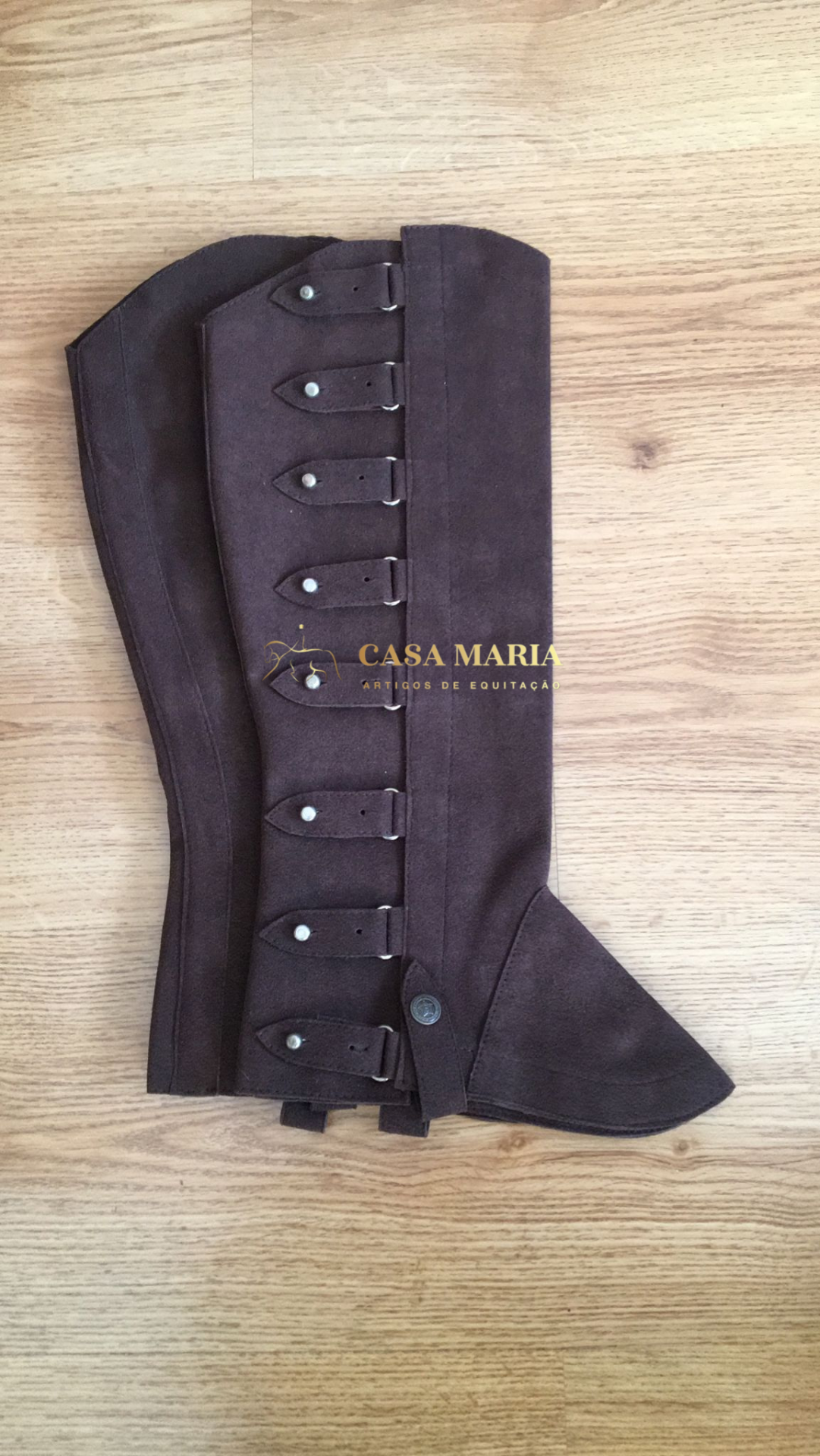 Polaina Portuguesa - Tipo Caça