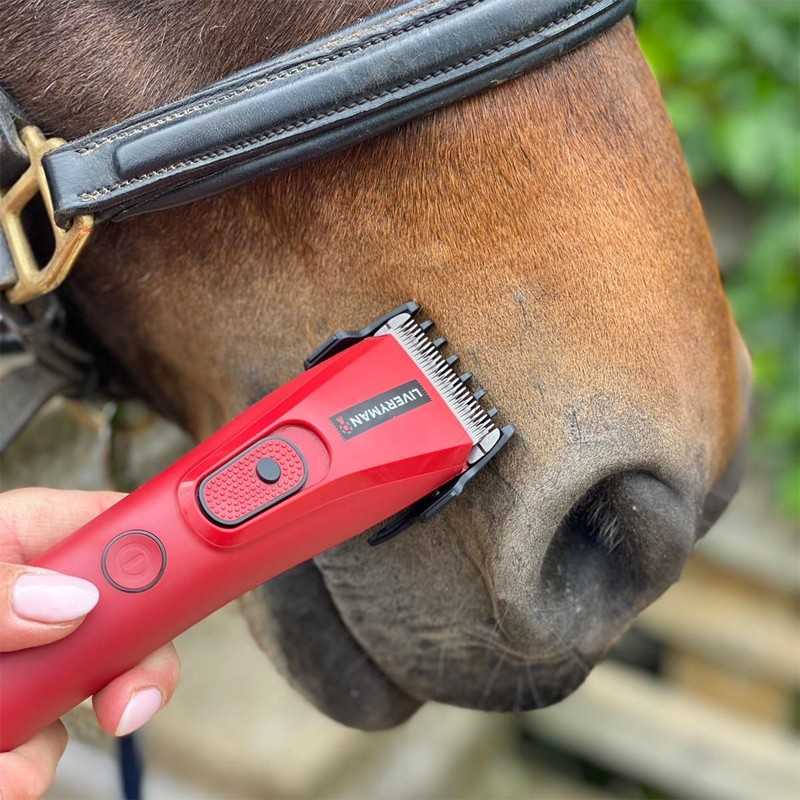 Máquina de Tosquia LIVERYMAN NOVA