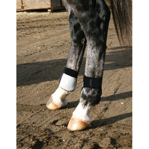 PROTETOR PROFESSIONAL'S CHOICE BOLETO (PAR)