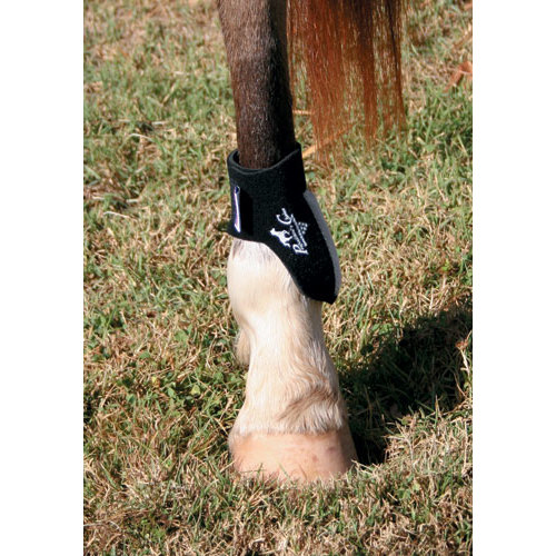 PROTETOR PROFESSIONAL'S CHOICE BOLETO (PAR)