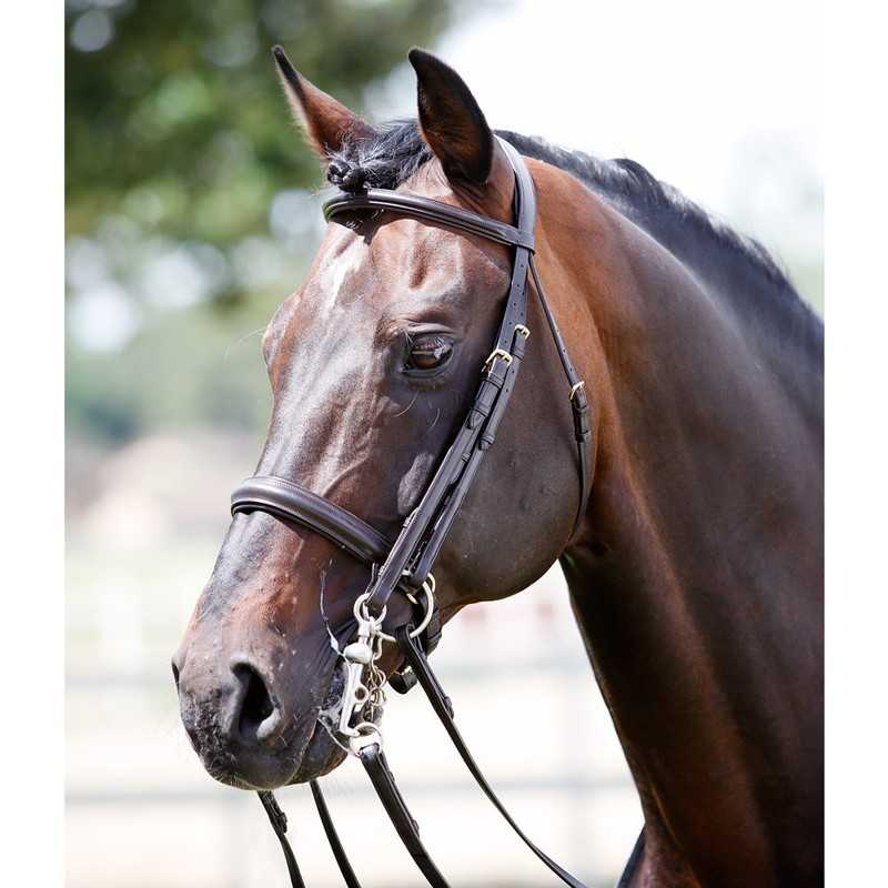 Cabeçada Tattini para freio e bridão
