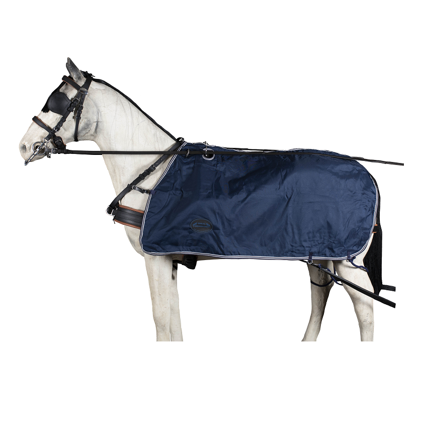 Cavalo com arreios pretos e manta azul escura