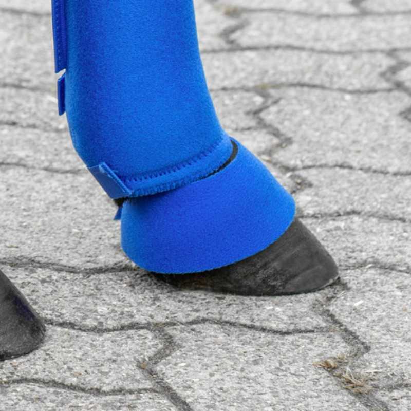 Cloches para Shetland USG