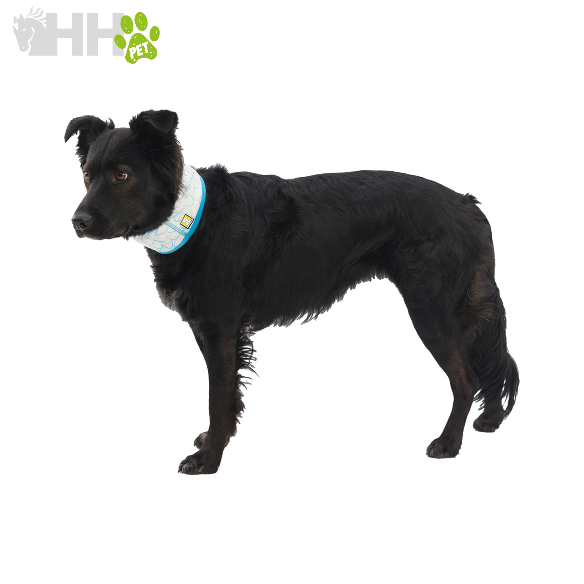 PESCOÇO REFRESCANTE RUFFWEAR PARA CÃES (REVERSÍVEL) SWAMP COOLER NECK GAITER