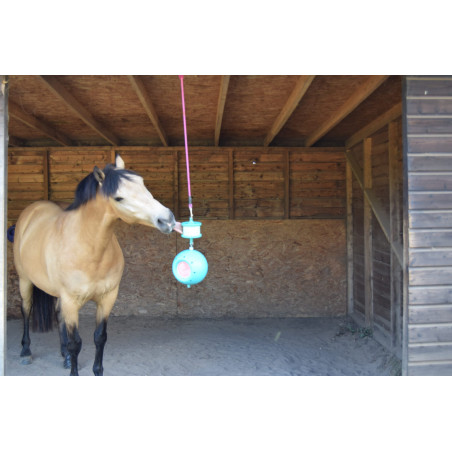 Cavalo castanho claro em estábulo com brinquedo pendurado azul