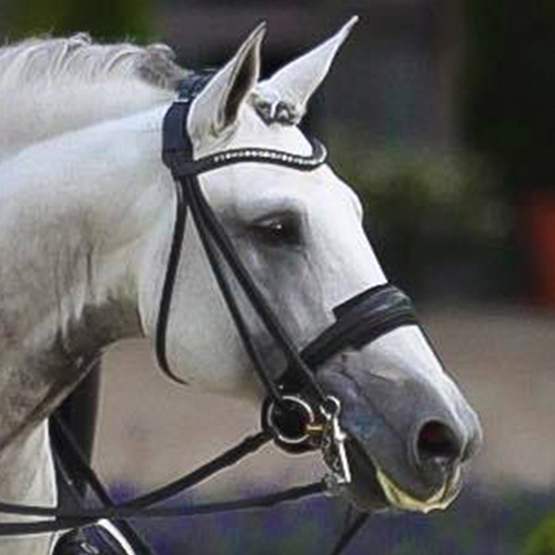 PROTETOR FOCINHEIRA HH EVA SINTÉTICO (CAIXA 30 PEÇAS)