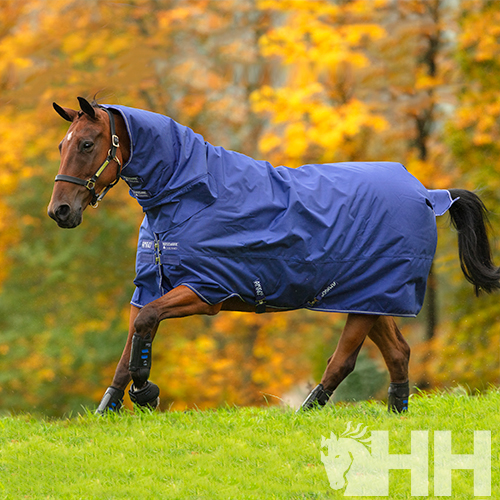 COBREJÃO AMIGO HERO 900 ALL-IN-ON EXTERIOR COM PESCOÇO MEDIUM (200g)