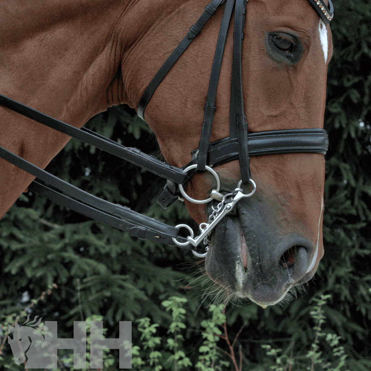 BRIDÃO SPRENGER WH ULTRA PARA FREIO ARGOLA 55mm