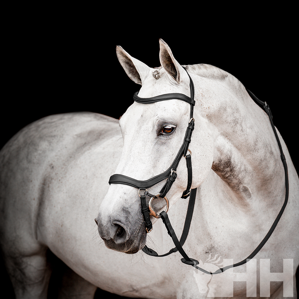 CABEÇADA INGLESA HORSEWARE MICKLEM 2 COMPETITION BRIDLE (SEM RÉDEAS)