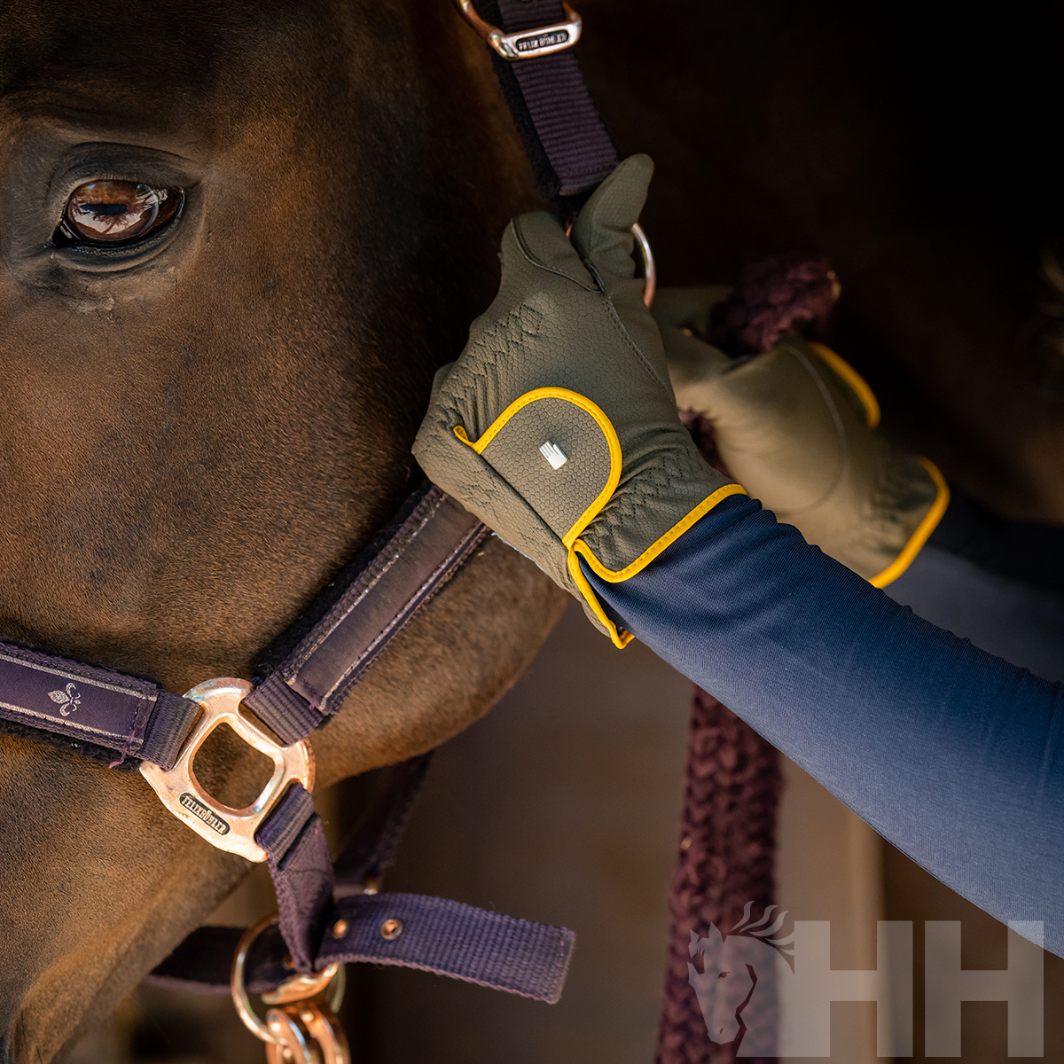 Mãos com luvas verdes e amarelas a segurar cabresto roxo de cavalo castanho
