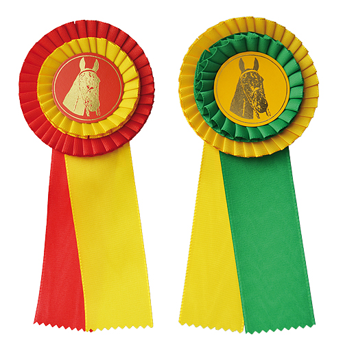 ROSETA 2 CORES COM CENTRO CARTÃO