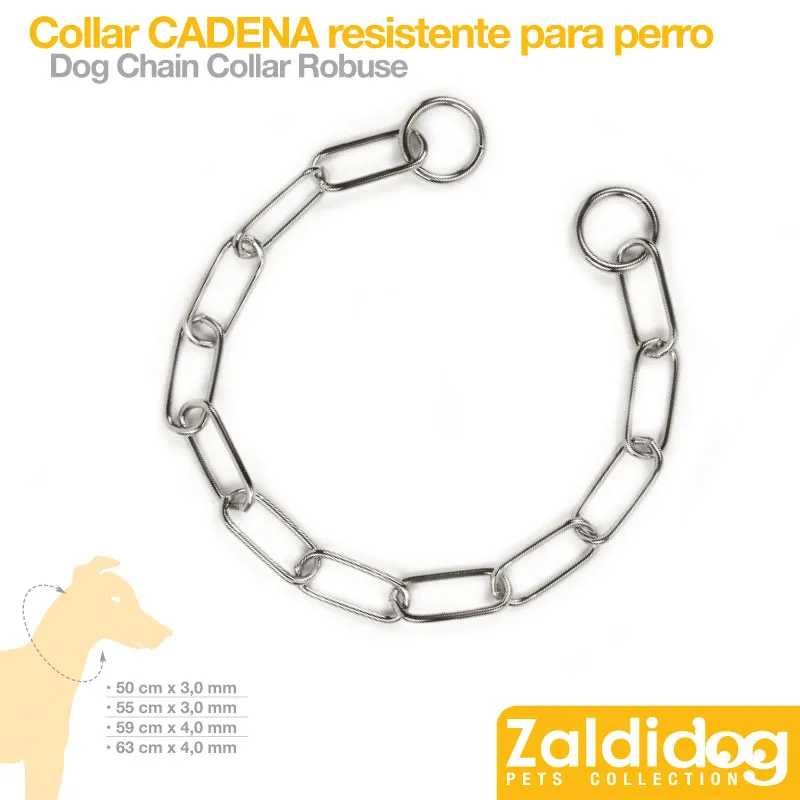 CÃO COLEIRA CORRENTE RESISTENTE