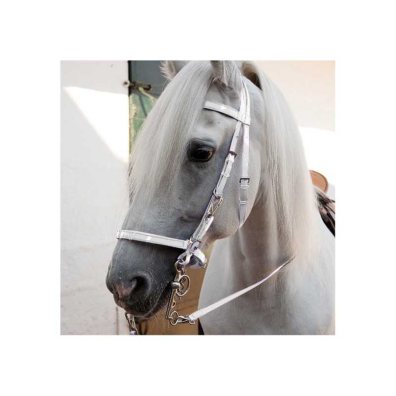 Cabeçada de Biothane para endurance com rédeas