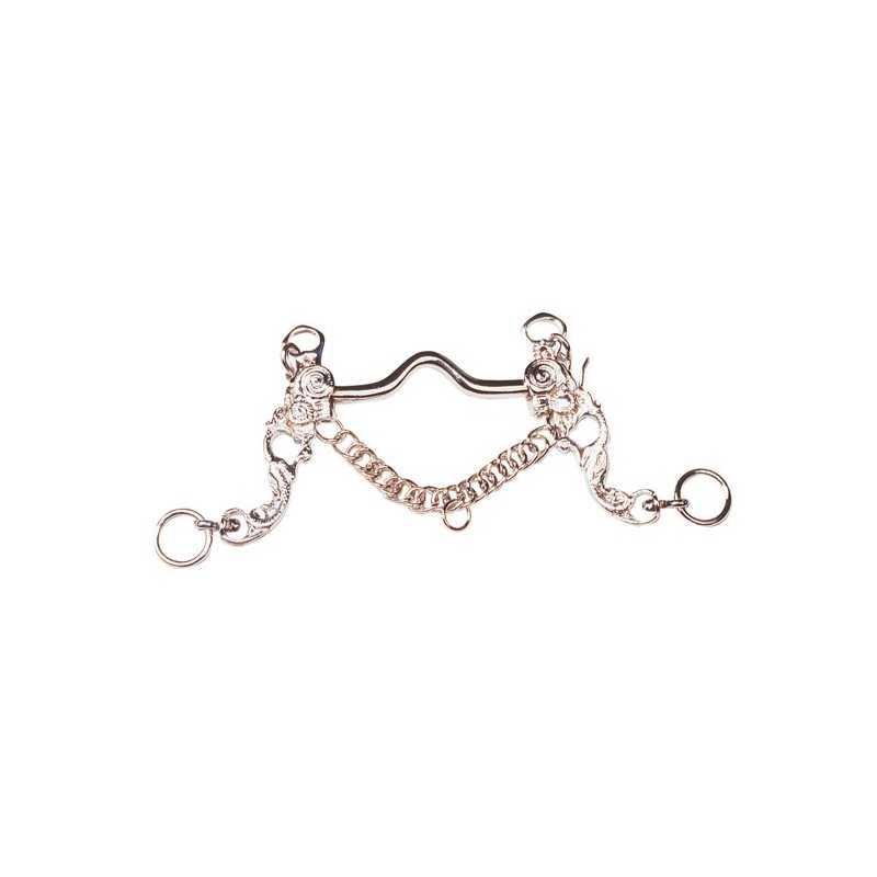 Freio metálico prateado com corrente