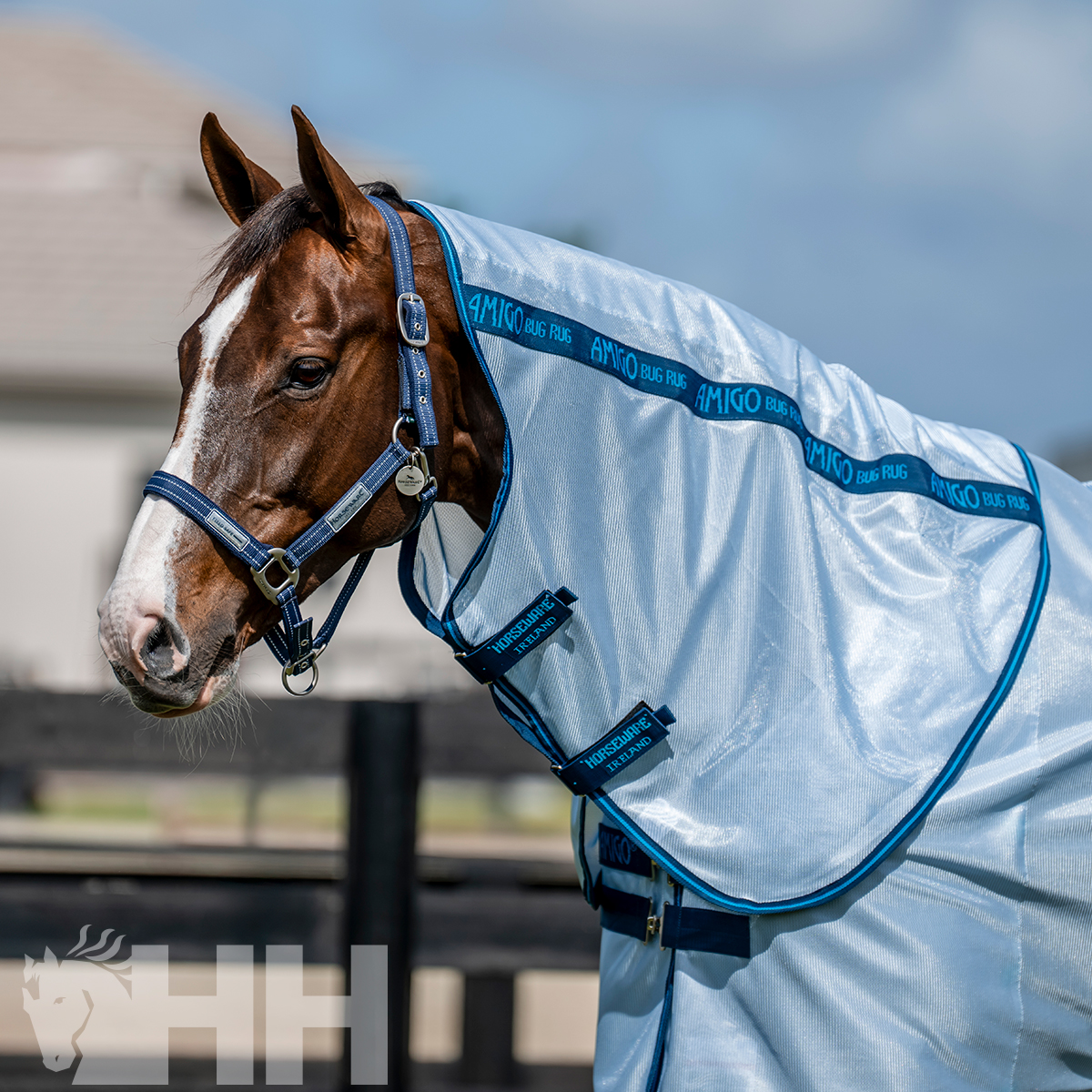 Cobertura leve branca com acabamento azul para cavalo com texto Amigo Fone