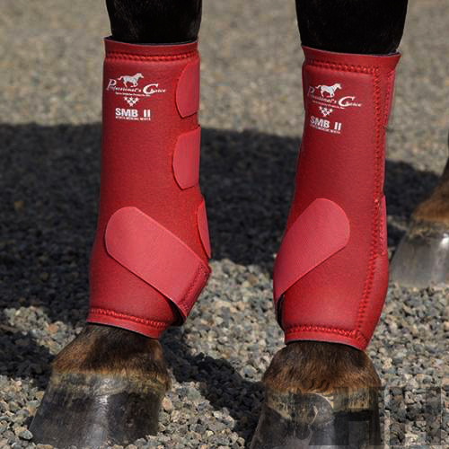 PROTETOR PROFESSIONAL'S CHOICE SMBII (PAR)