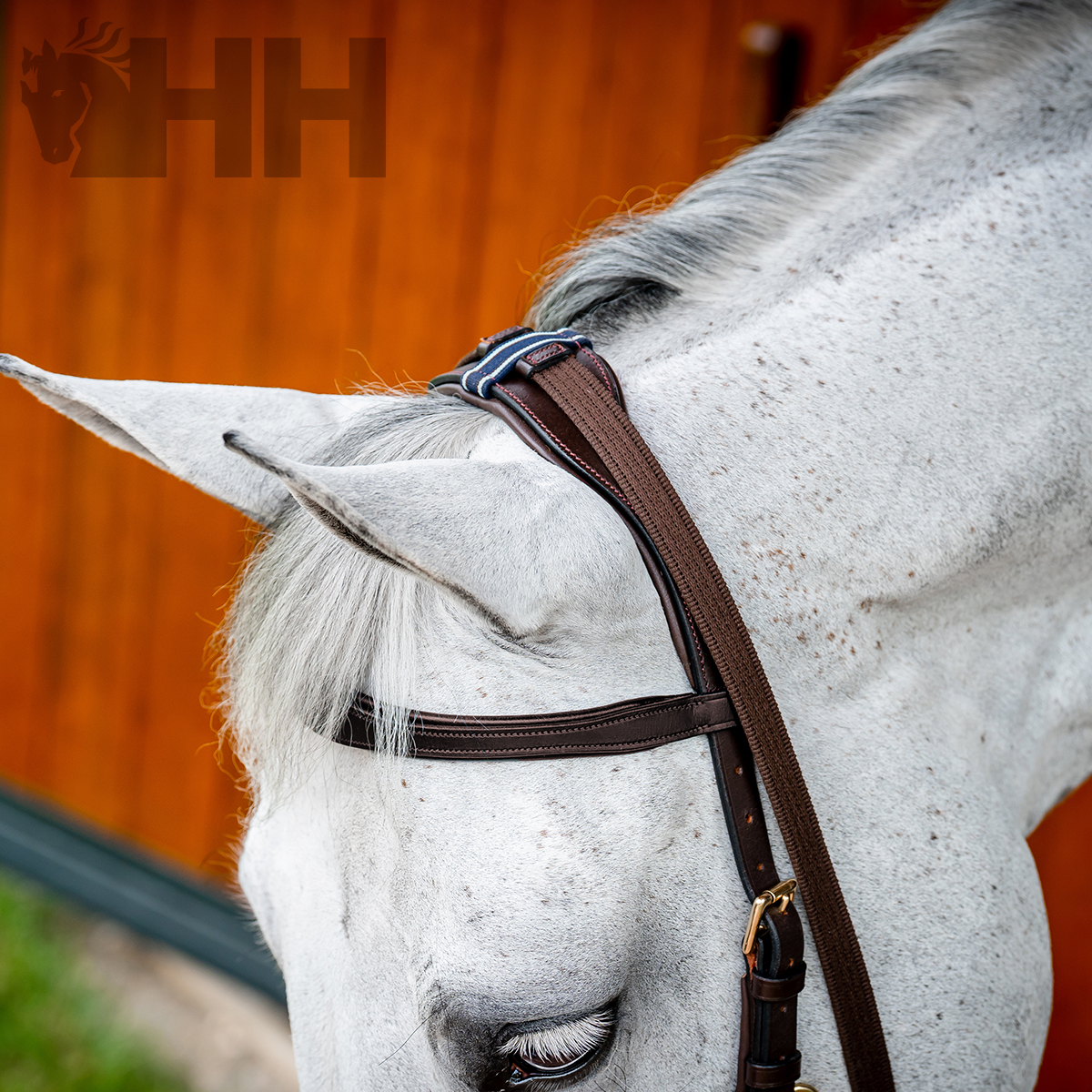 CABEÇADA INGLESA HORSEWARE MICKLEM 2 MULTIBRIDLE (SEM RÉDEAS)