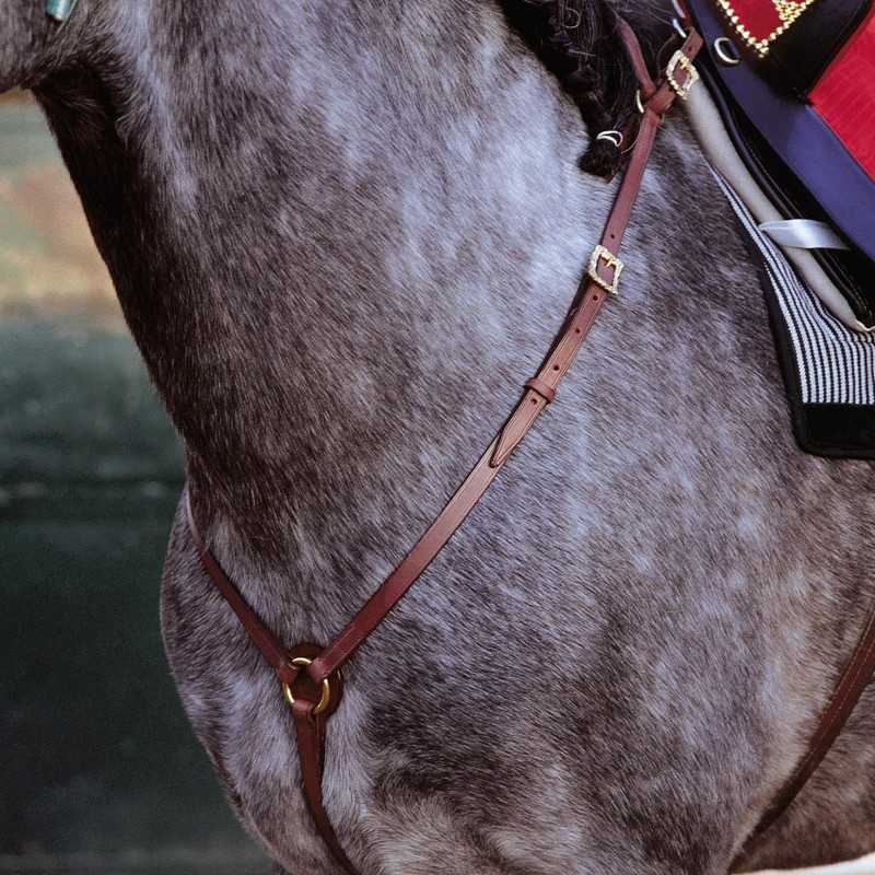 Peitoral MARJOMAN MODELO PORTUGUÊS COM FIVELAS CORTESIA