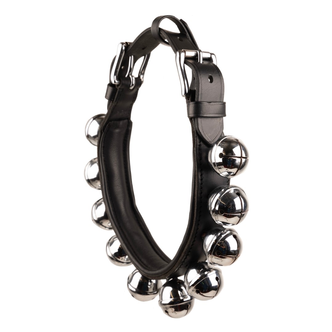 GUIZEIRA IDEAL EQUESTRIAN