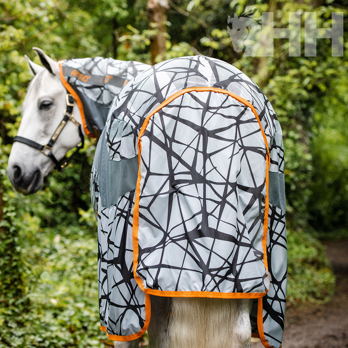 Cavalo com capa protetora cinza com padrão abstrato e detalhes em laranja em ambiente exterior